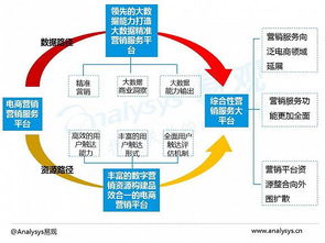 2016中国电商数字营销市场专题报告 数字技术服务的崛起与变革